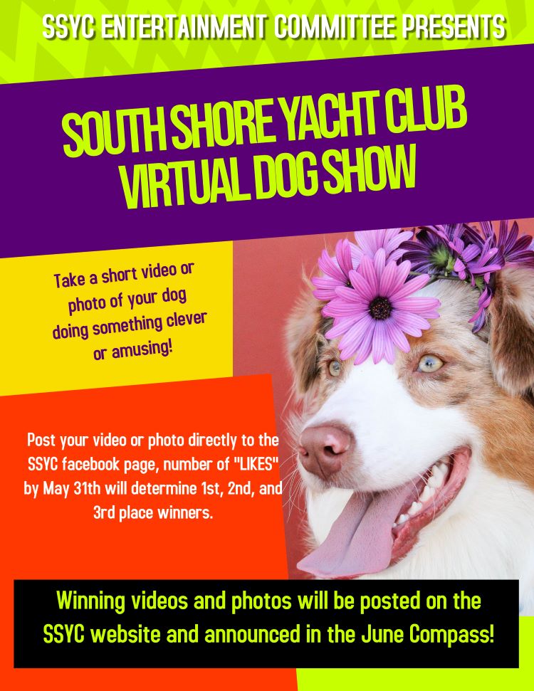 Virtual Dog Show final 1